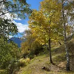 Дом отдыха Casa Del Cios Calda E Intima Casetta Immersa Nel Delle Montagne *