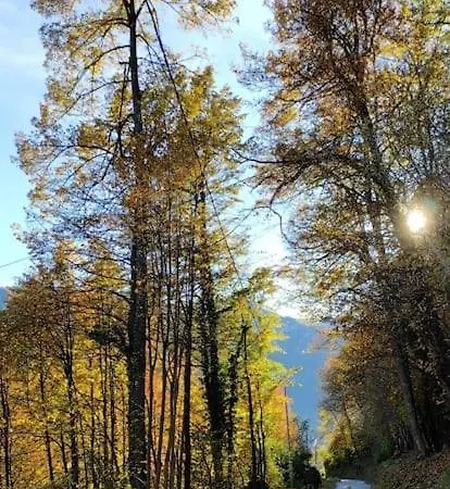 Casa de Férias Casa Del Cios Calda E Intima Casetta Immersa Nel Delle Montagne Alpe Basciumo