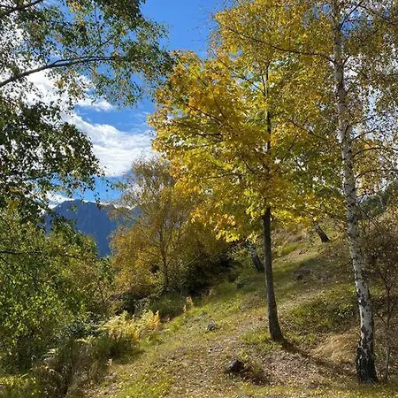 Prázdninový dům Casa Del Cios Calda E Intima Casetta Immersa Nel Delle Montagne *