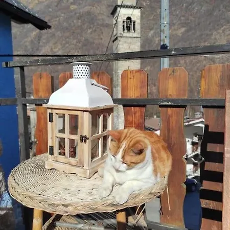 Σπίτι διακοπών Casa Del Cios Calda E Intima Casetta Immersa Nel Delle Montagne Alpe Basciumo