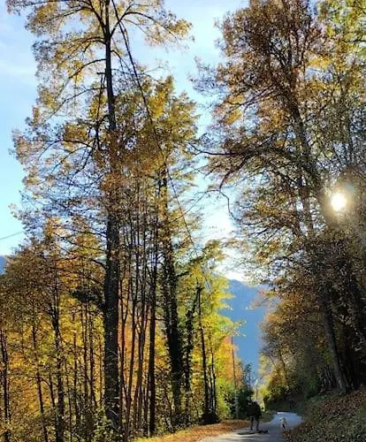 Feriehus Casa Del Cios Calda E Intima Casetta Immersa Nel Delle Montagne Alpe Basciumo