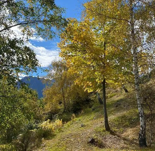Semesterbostad Casa Del Cios Calda E Intima Casetta Immersa Nel Delle Montagne *